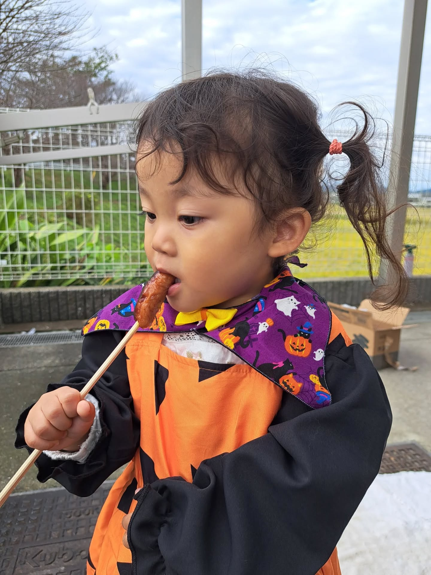 昨日のバーベキューは、