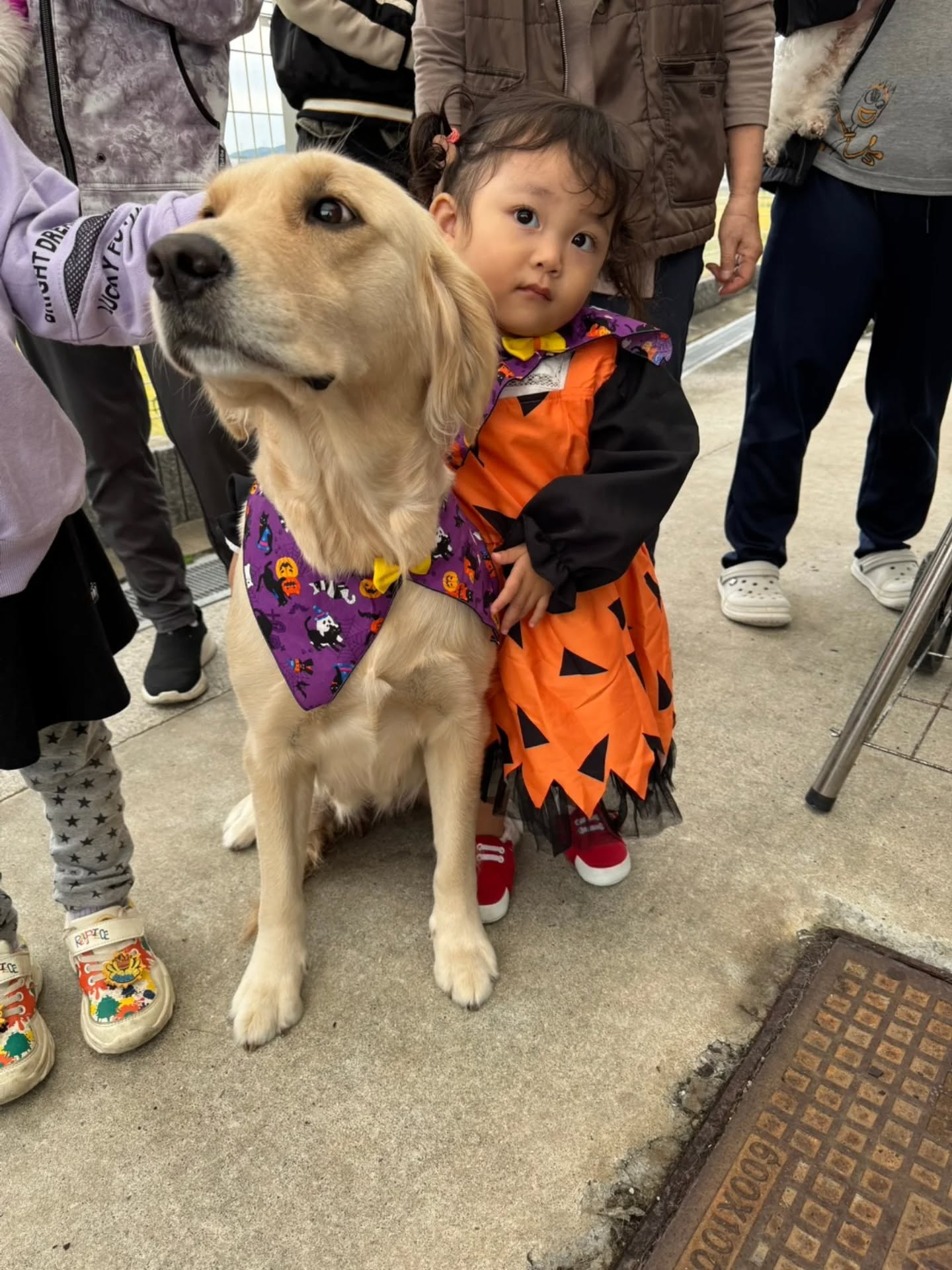 昨日のバーベキューは、