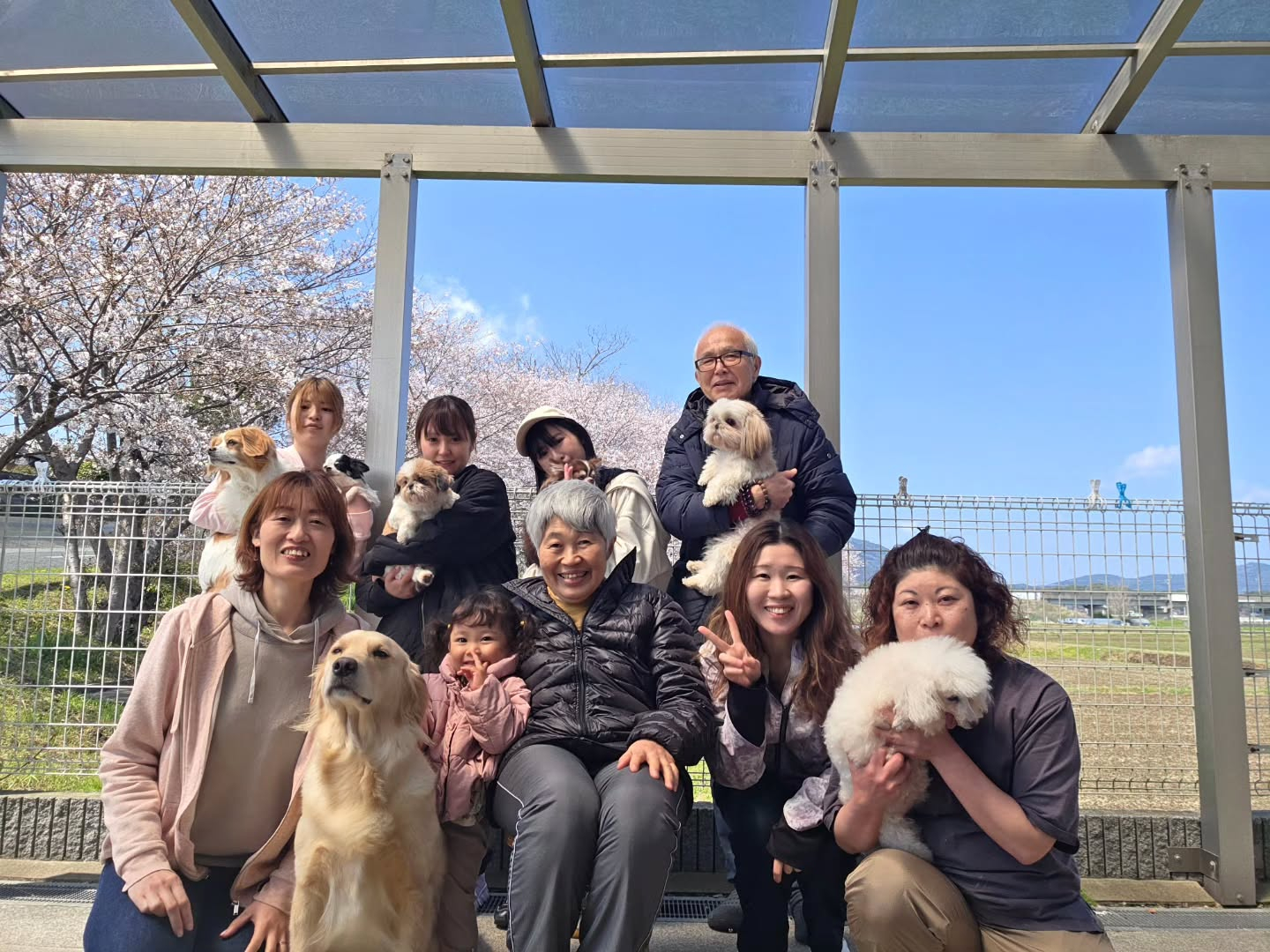 もう桜は散ってしまいましたが…💦