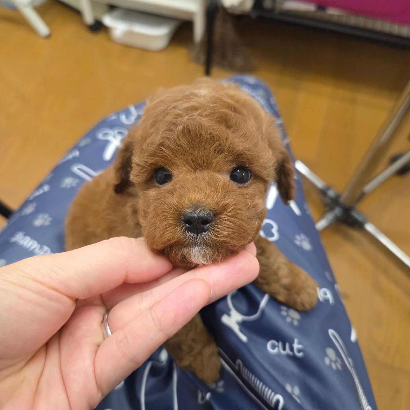 初めてのシャンプー✨