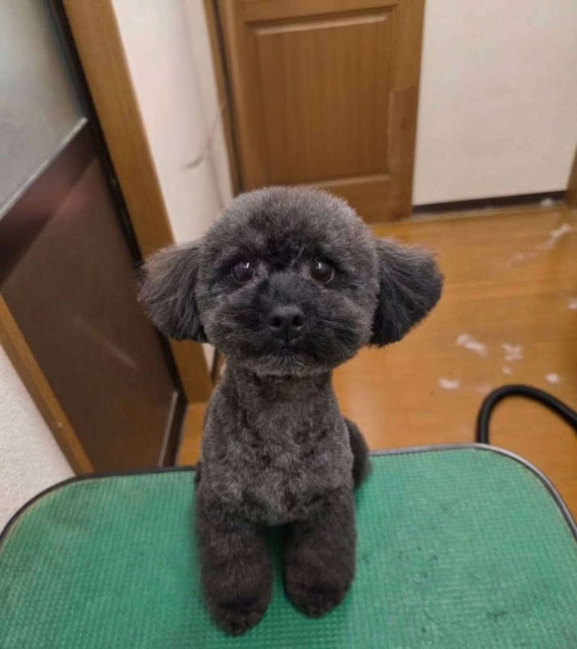 アンバーママです✨